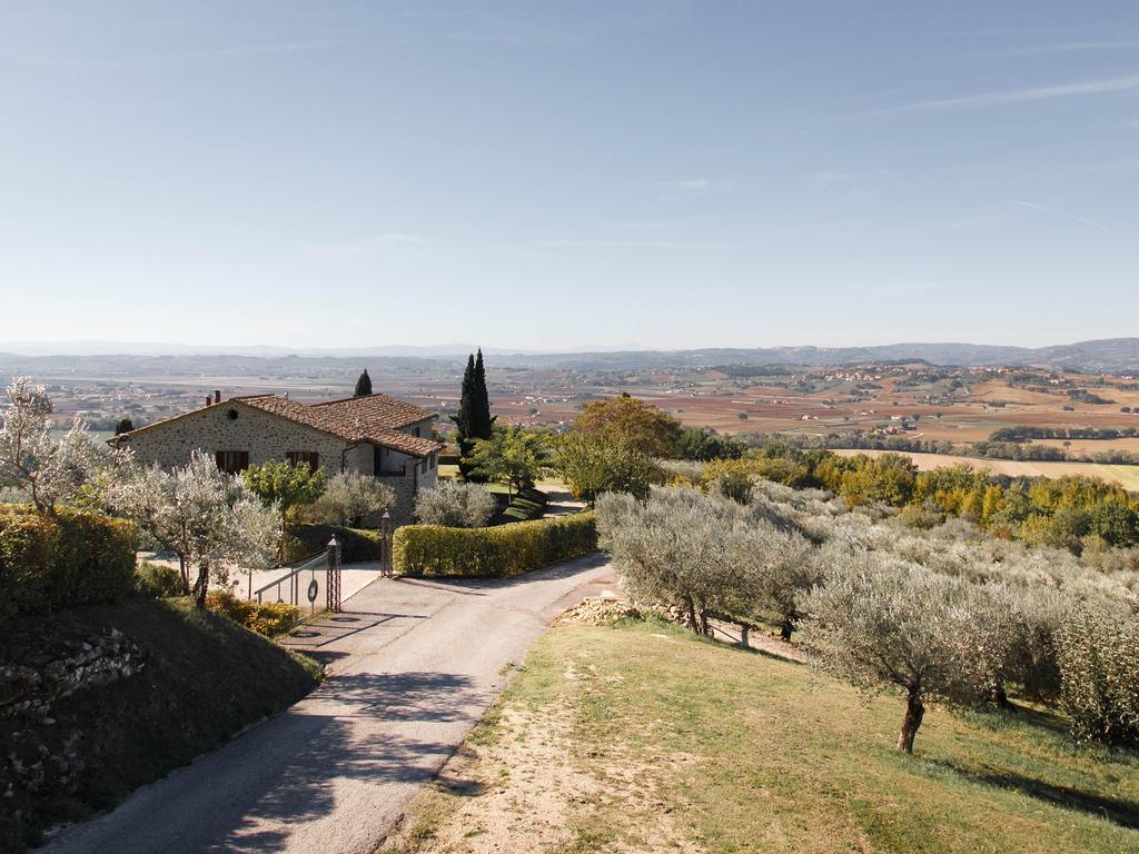 Agriturismo Le Colombe Асизи Екстериор снимка