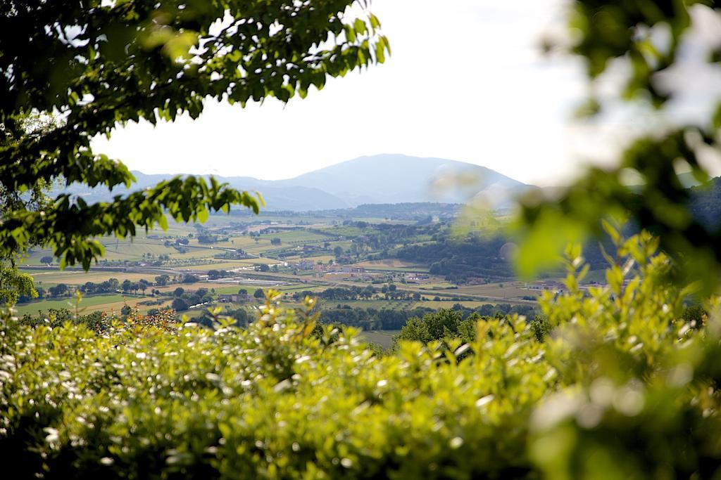 Agriturismo Le Colombe Асизи Екстериор снимка