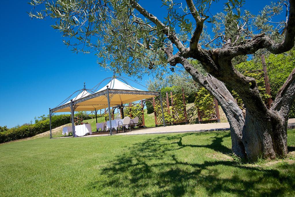 Agriturismo Le Colombe Асизи Екстериор снимка