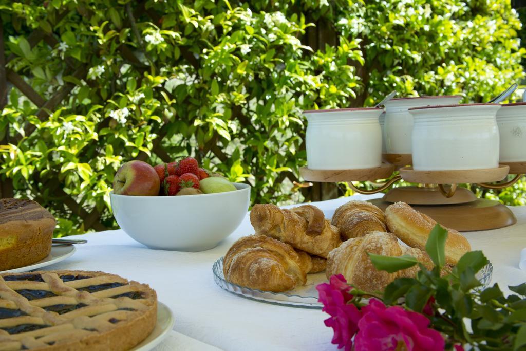 Agriturismo Le Colombe Асизи Екстериор снимка