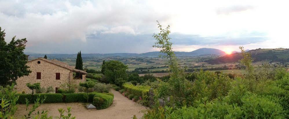 Agriturismo Le Colombe Асизи Екстериор снимка