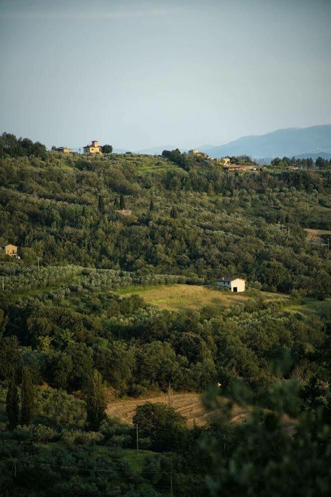 Agriturismo Le Colombe Асизи Екстериор снимка